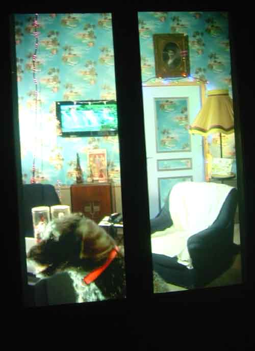 DR ABAX - Emmanuel Sautai et Thomas Bart - Fête des lumières Lyon 2008