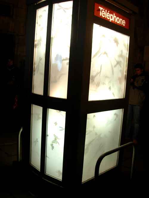 Fête des lumières Lyon 2008 - Nuées cabine