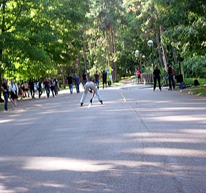 roller-parc-tete-d-or Roller au Parc de la Tête d'Or