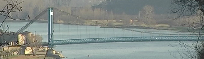 rhone-platane-mobile-4 Platane Mobile - Magazine Le milieu du Rhône : Portraits de nature, paysages humains