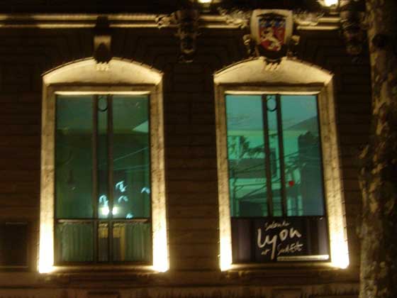 Fete-des-lumieres-2010-Lyon-Palais-Bondy Quai de Bondy - Oiseaux dans le palais