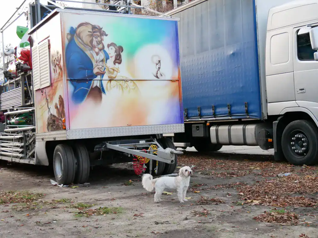 Dans l'arrière cour de la Vogue des Marrons, Croix-Rousse, Lyon