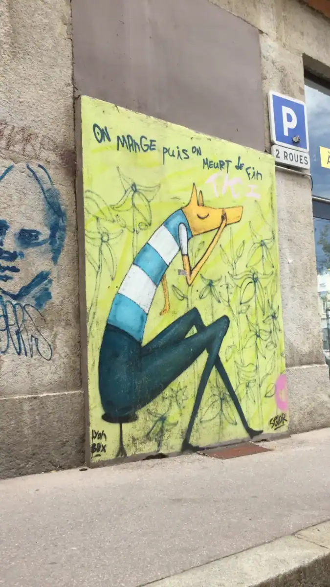Segor - Street-art Lyon