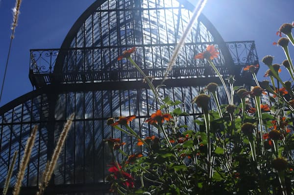 Une des serres Balthard du jardin botanique au Parc de la Tête d'Or (photo FC)