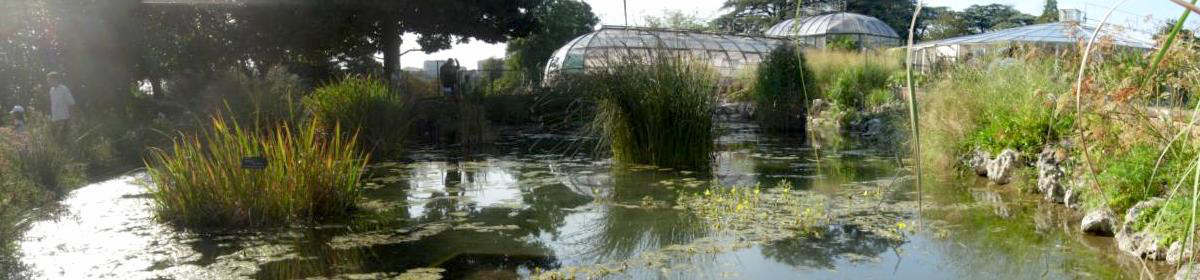 Parc de la Tête d'Or