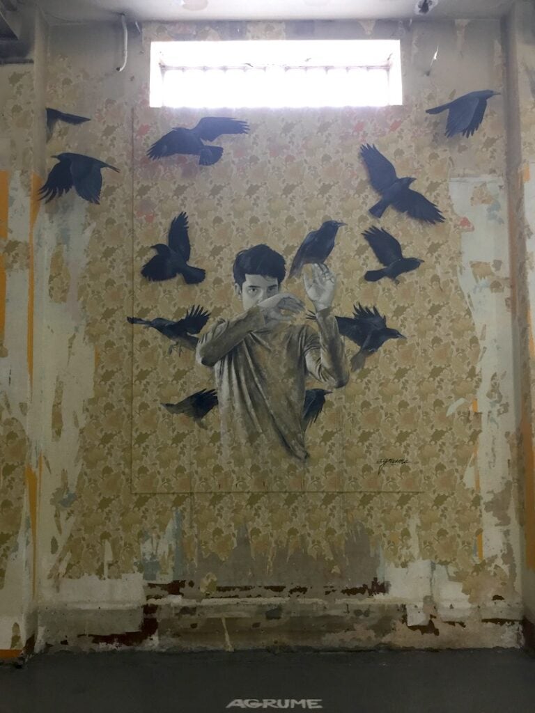 Exposition street-art "Zoo" à Lyon juin et juillet 2018