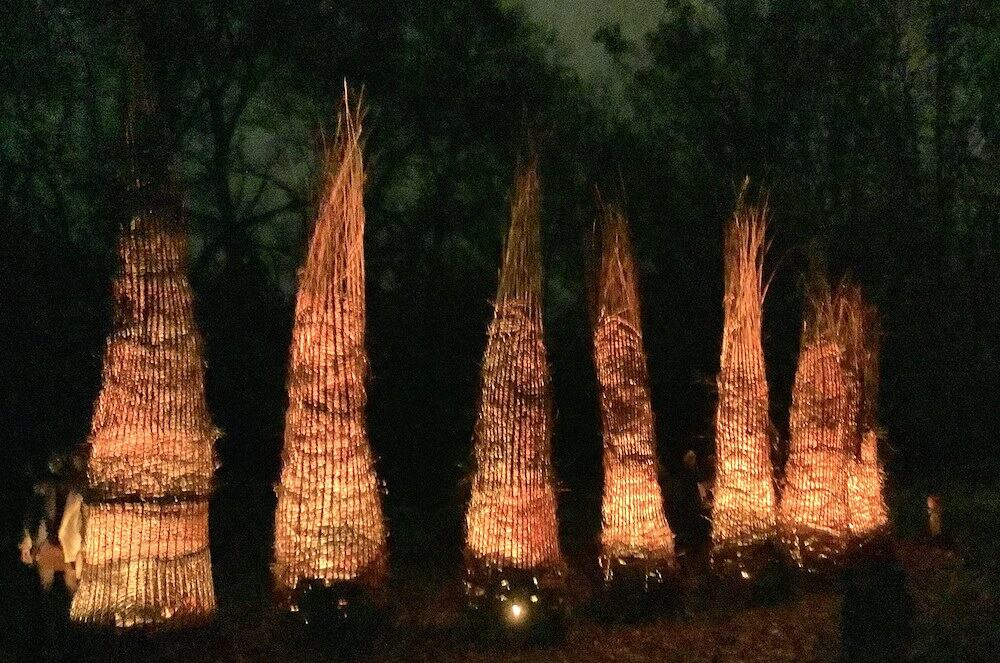 Fête des lumières 2021 - Parc de la Tête d'Or