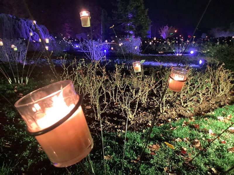 Programme fête des lumières 2022 : notre sélection et notre circuit conseillé en une soirée