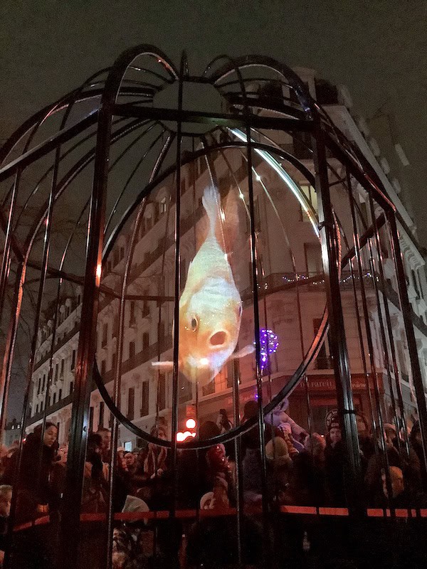 Fête des lumières 2022, Lyon