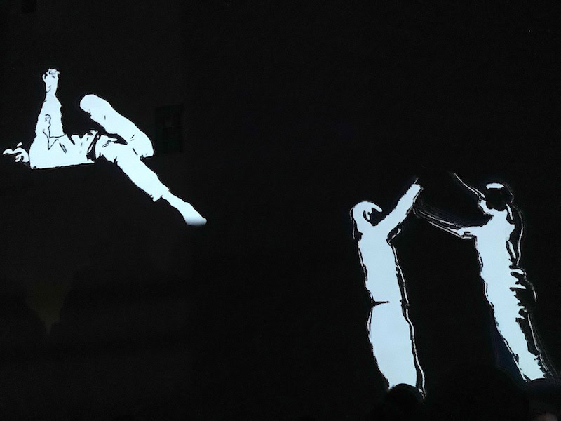 Fête des lumières Lyon 2022 - SOI-MÊME, œuvre réalisée par une dizaine de jeunes d'autistes avec l'aide du SESSAD du Vinatier