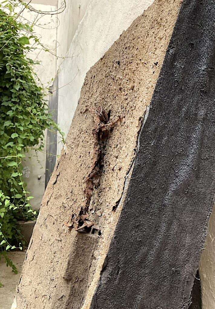 Christ au sommier, jardin Burdeau, 2024 - Street art Lyon