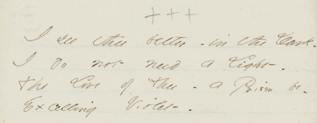 Fete des lumieres Lyon 2024 - Houghton Library - (182a) I see thee better - in the Dark, J611, Fr442