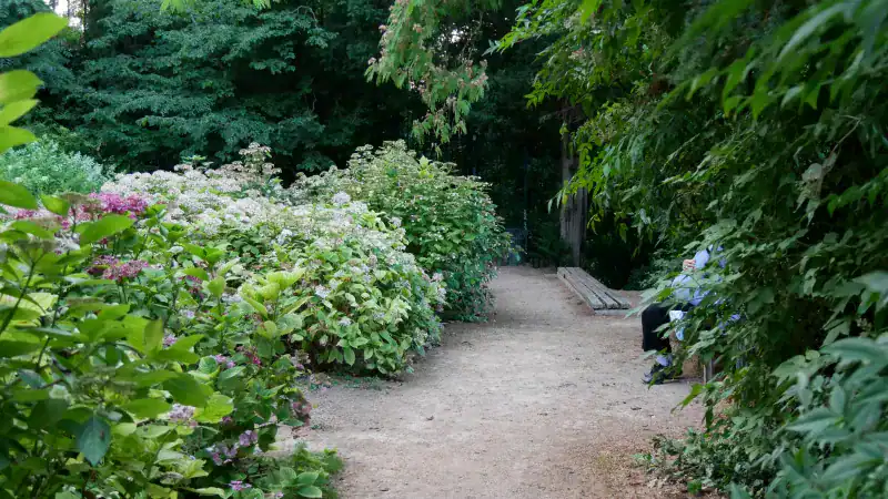 Jardin du Rosaire, Fourvière, Lyon