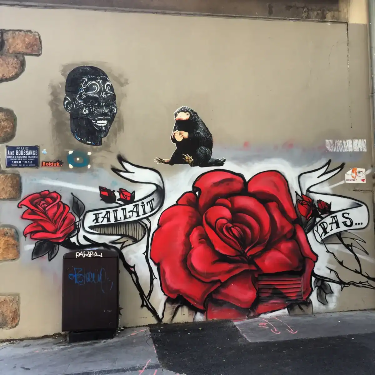 Georges de Loup, Street-art Lyon