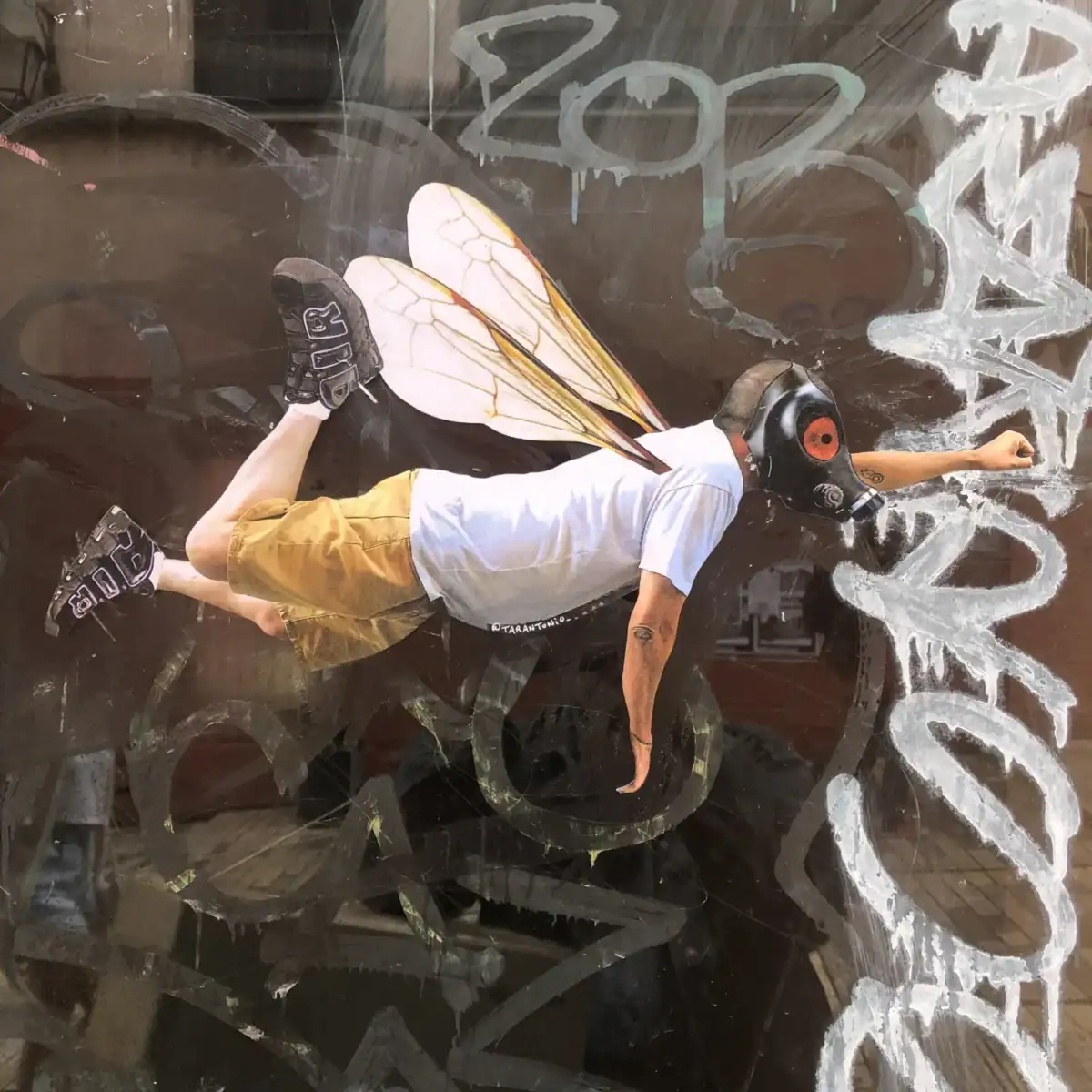 Tarantonio, street-art Lyon