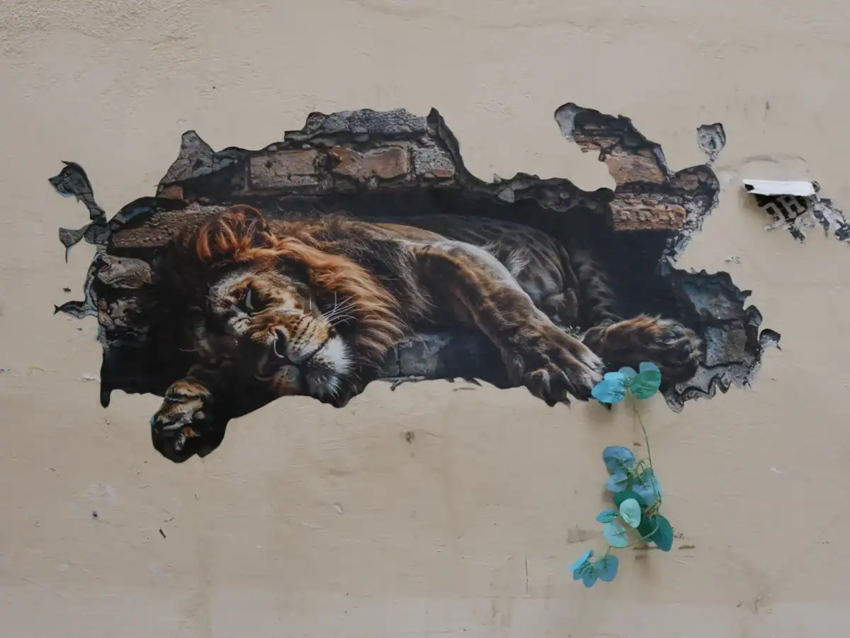 Street art Lyon - gen_iart