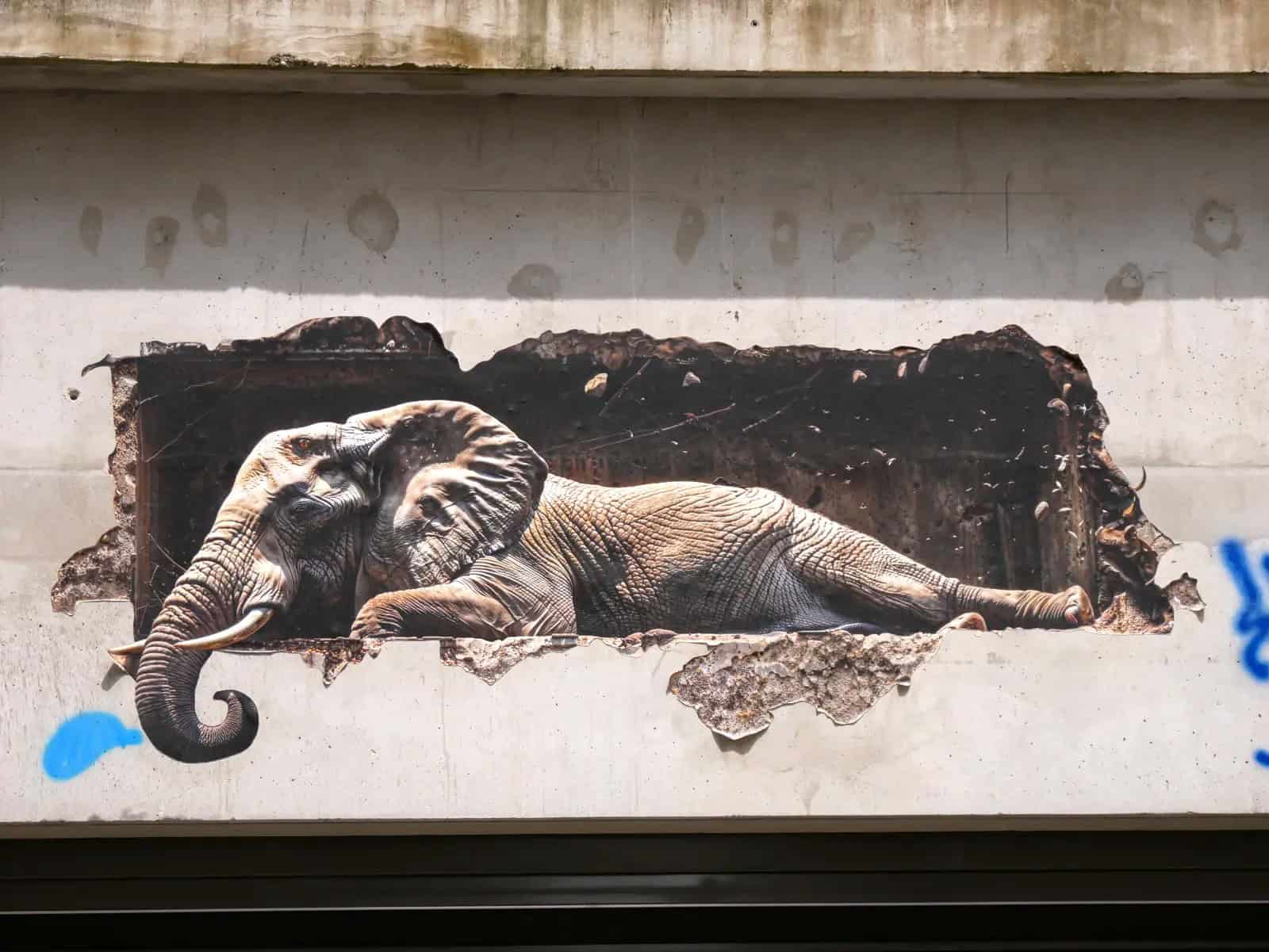 Visite guidée en petit groupe "Parenthèse street art"