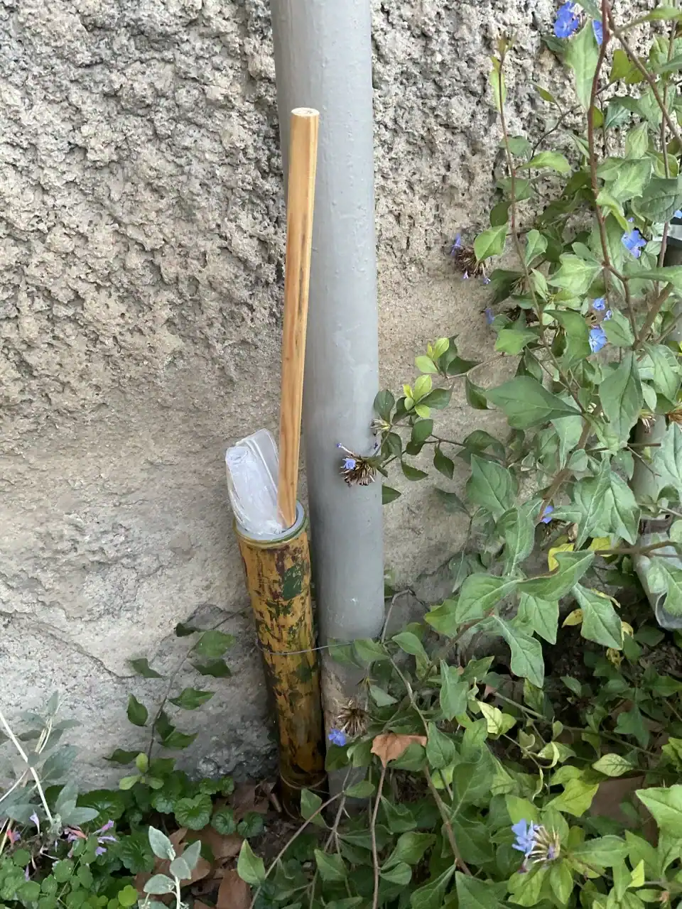 Une cache ouverte au Parc de la Tête d'or avec le log, journal des passages, visible.