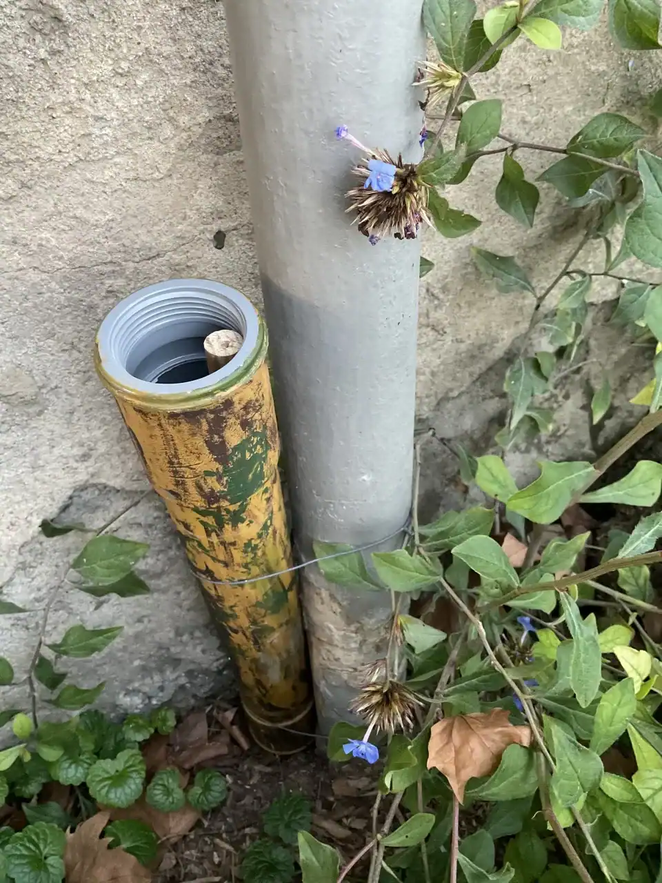 Une cache ouverte au Parc de la Tête d'or avec la tige extraire le log, journal des passages.