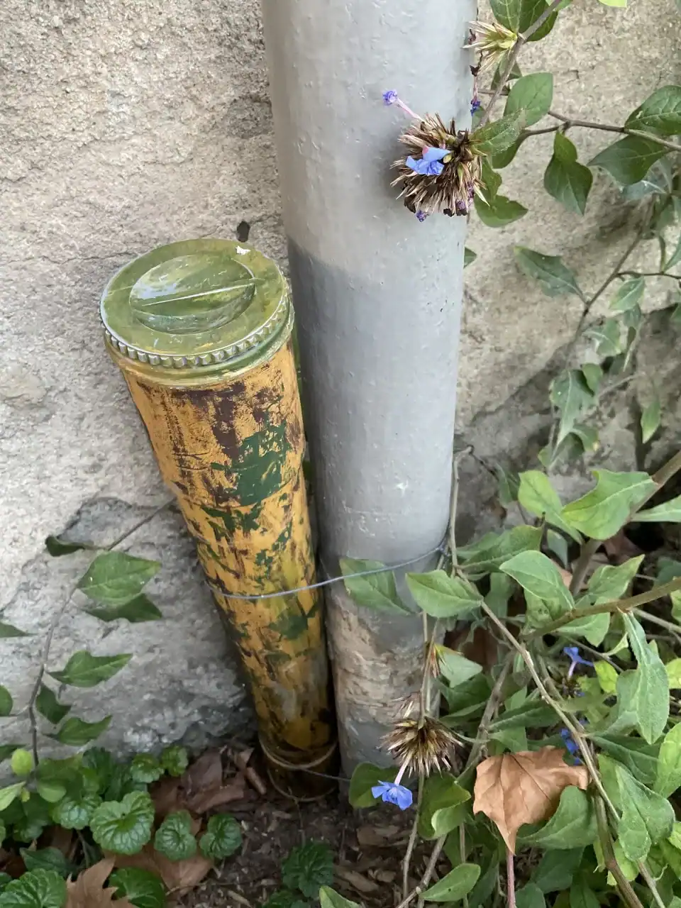 Une cache au Parc de la Tête d'or.