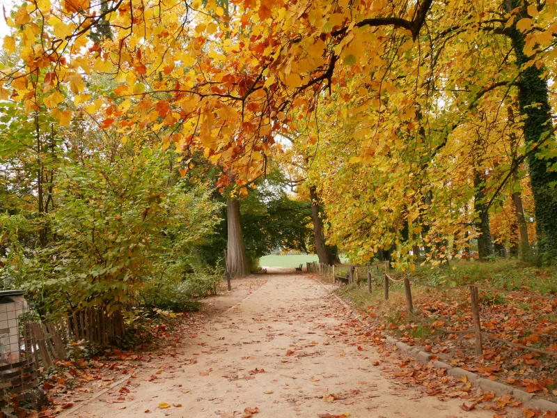 Automne - Parc de la Tête d'Or
