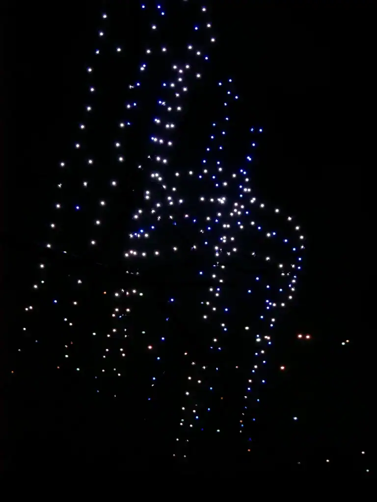 Fête des lumières Lyon 2025, drones au Parc de la Tête d'Or