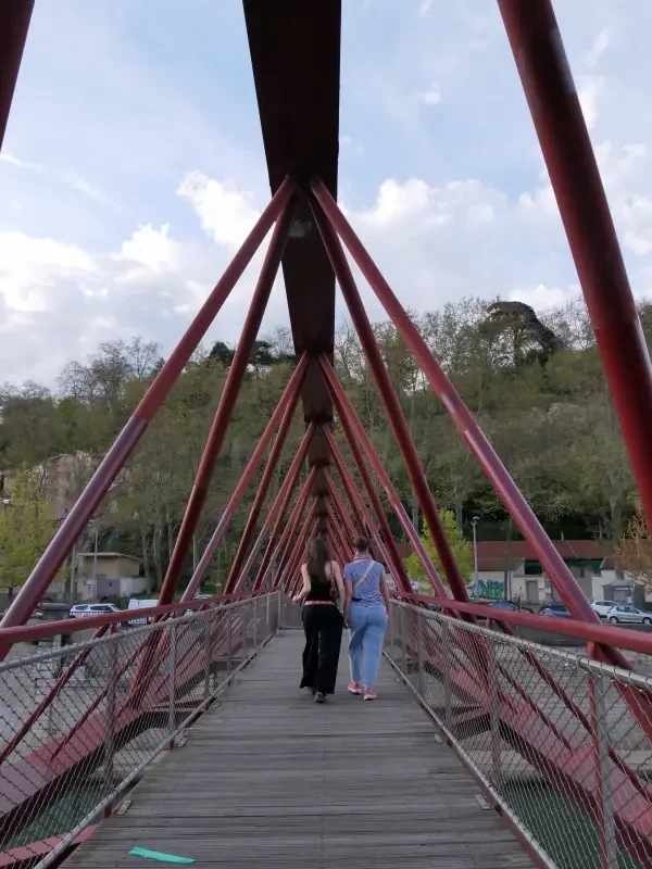 Passerelle de l'Homme de la roche, Lyon