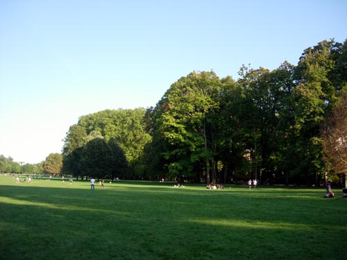 Grands arbres du Parc de la Tête d'Or