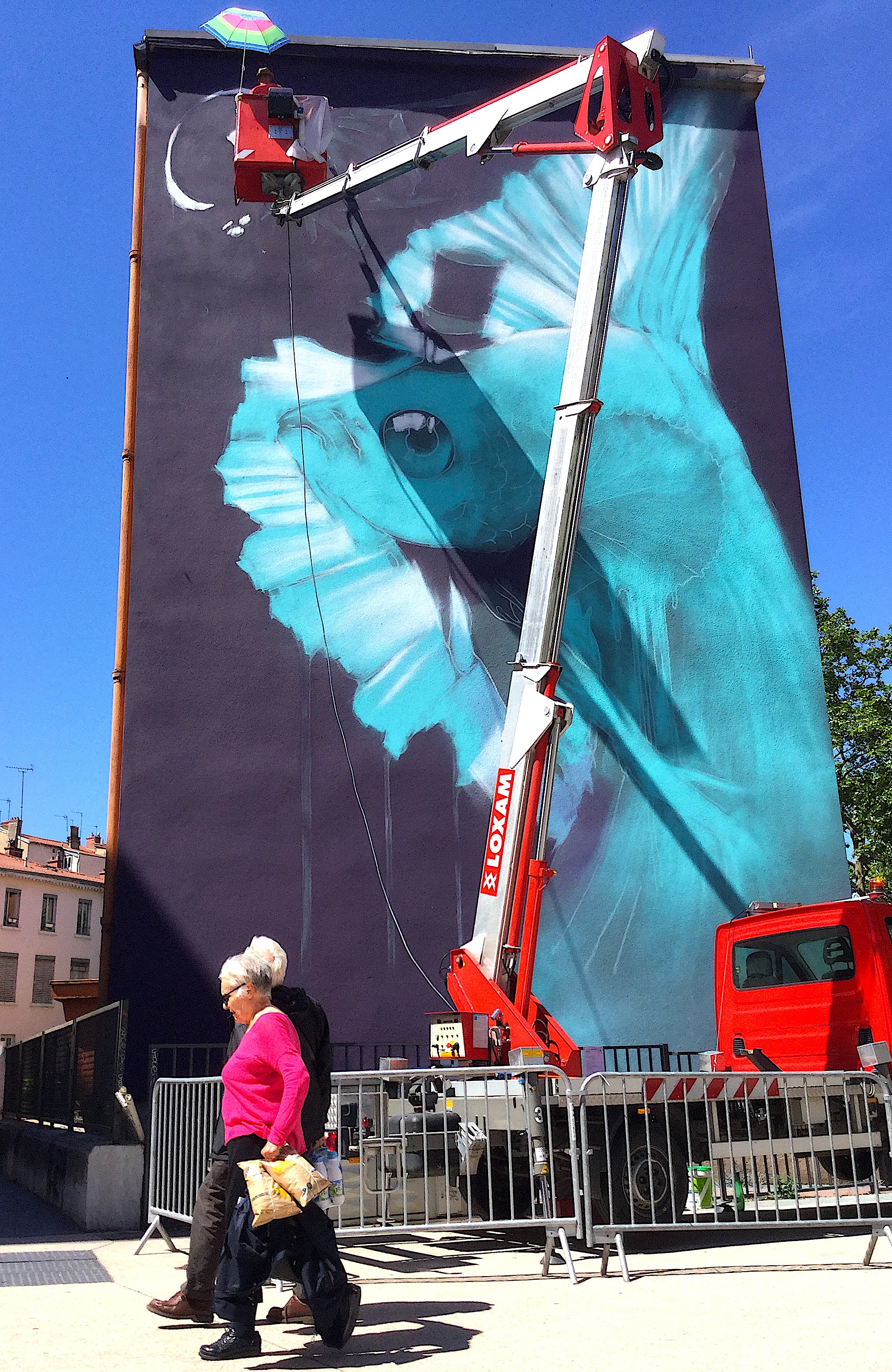 Fresque de Mur69, composée en 2017 par Kalouf, place des Tapis, photo du 16 mai 2017