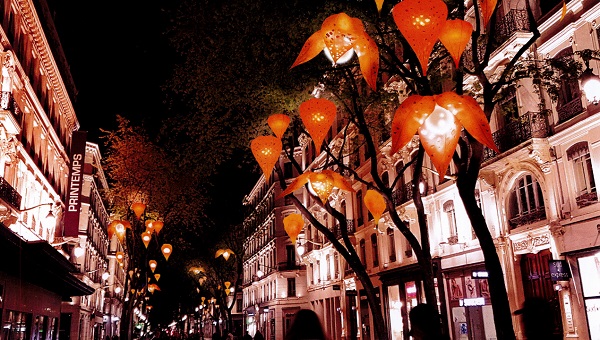 Fête des lumières 2018, Lyon, Rue de la République, « Les amours en cage » par Christophe Martine