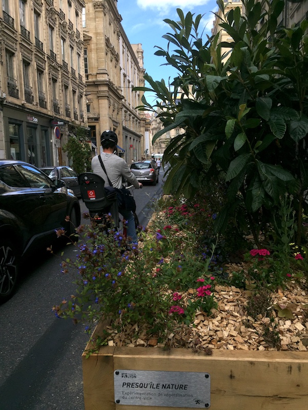 Végétalisation rue Edouard Herriot Lyon