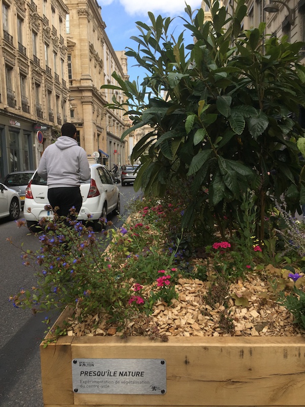 Végétalisation rue Edouard Herriot Lyon