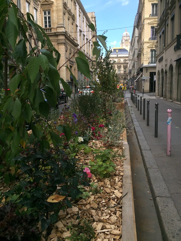 Végétalisation rue Edouard Herriot Lyon