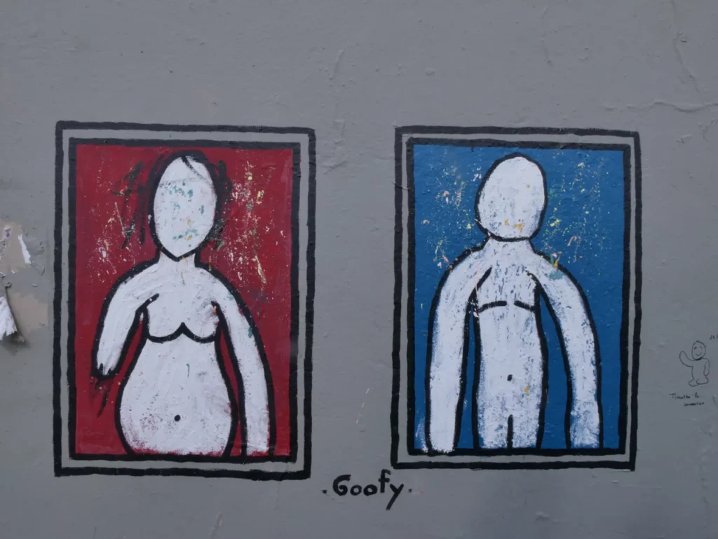 Goofy - Street art Lyon