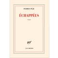 Échappées, Pierre Péju, roman