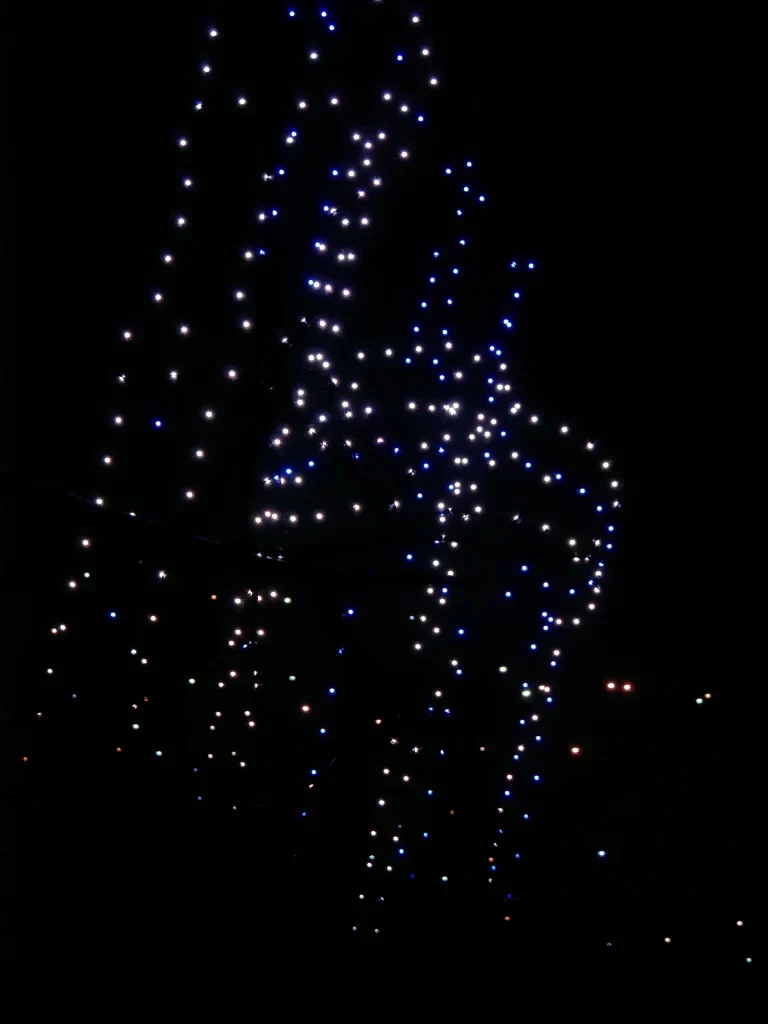 Fête des lumières Lyon 2025, drones au Parc de la Tête d'Or