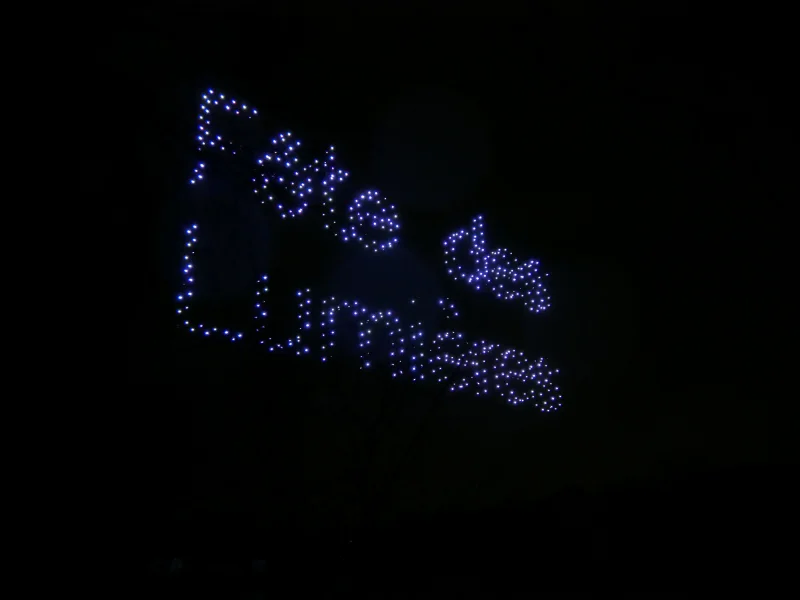 Fête des lumières Lyon 2025, drones au Parc de la Tête d'Or